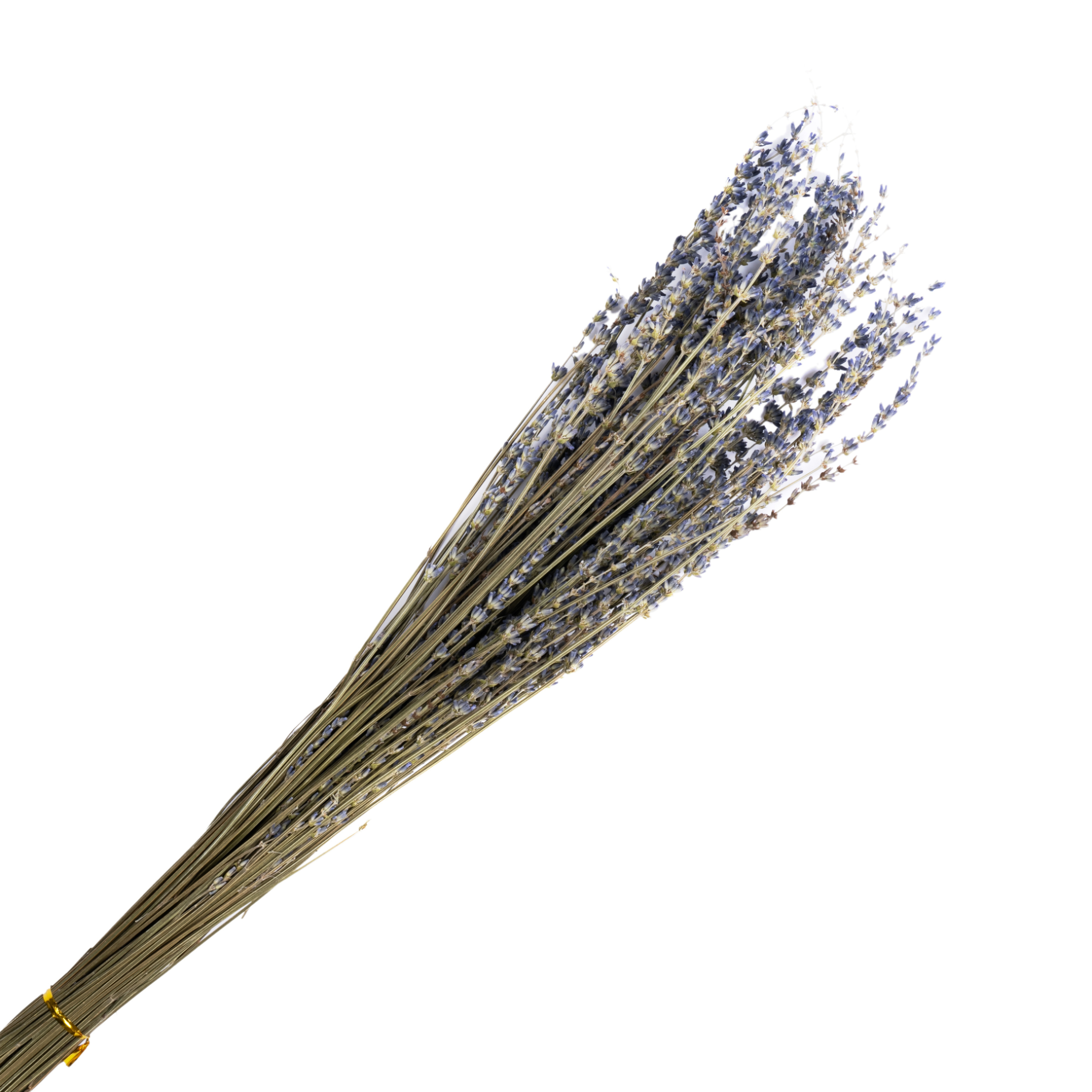 Dry lavender bundle